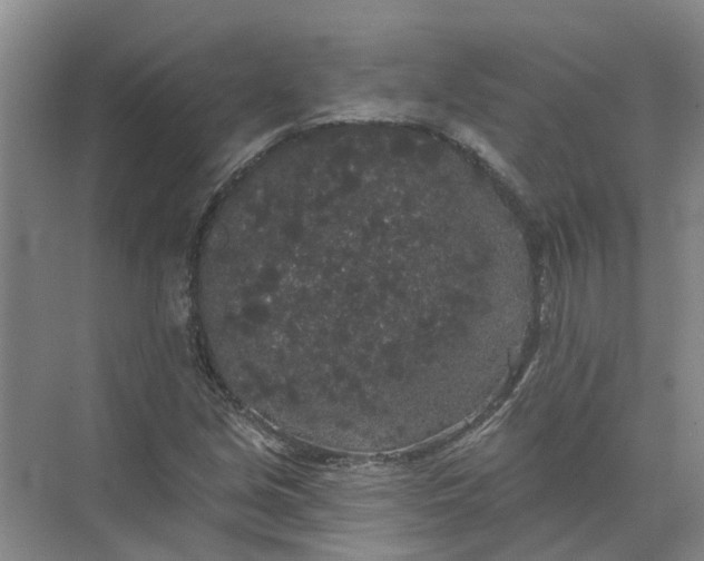 X0000072511213200607290123