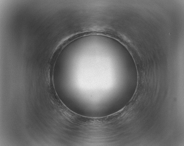 X0000072511214200607290123