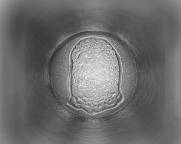 X0000072511215200607290123