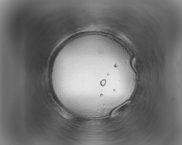 X0000072511216200607290123