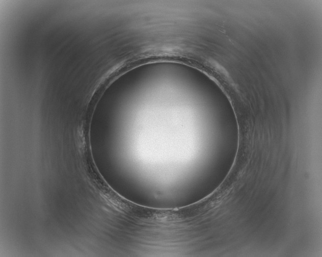 X0000072511218200607290124