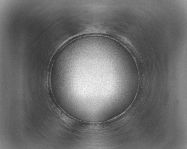 X0000072511220200607290124