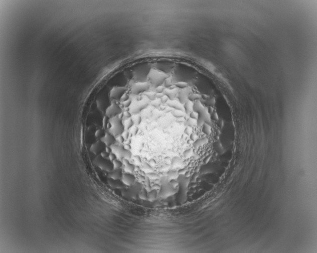 X0000072511221200607290124