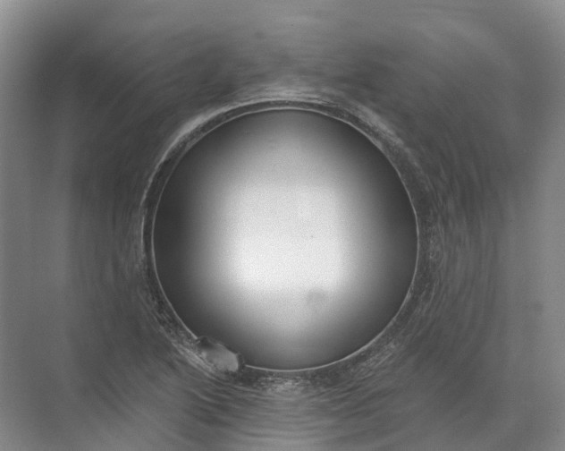 X0000072511222200607290124