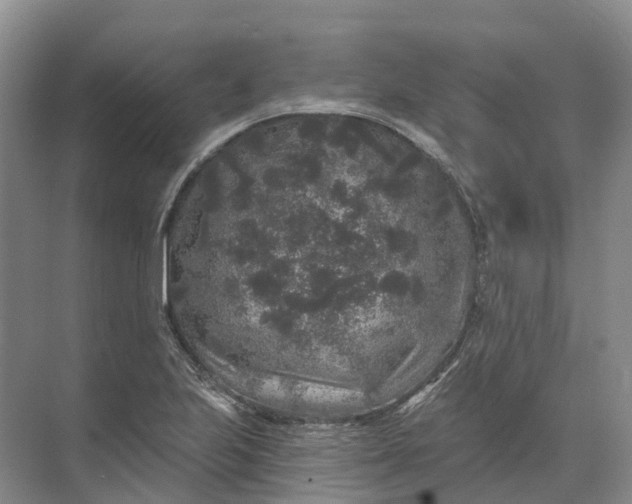 X0000072511223200607290124