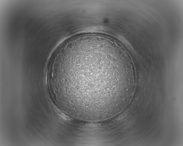 X0000072511224200607290124