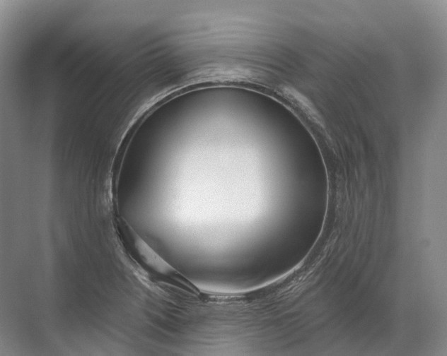 X0000072511226200607290124