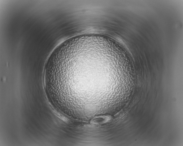 X0000072511227200607290124