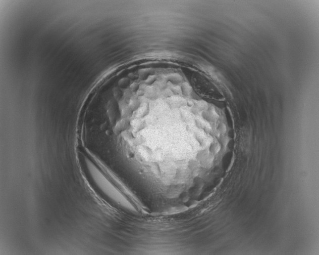 X0000072511229200607290124