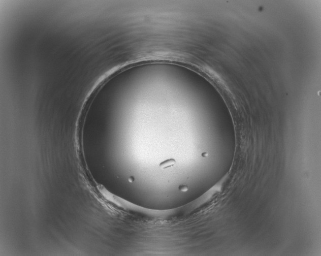 X0000072511230200607290124