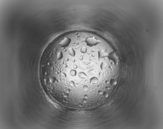 X0000072511231200607290124