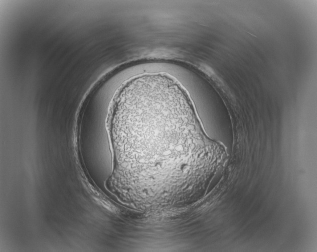 X0000072511232200607290124