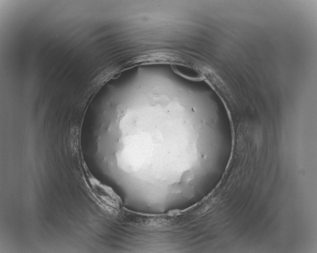 X0000072511233200607290124