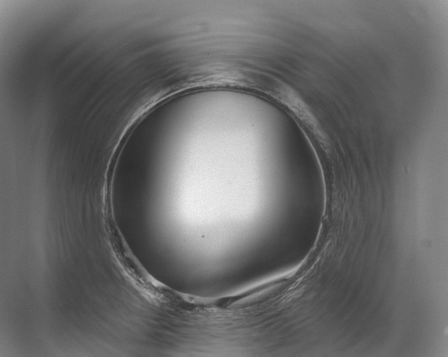 X0000072511234200607290124