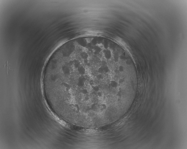 X0000072511235200607290124