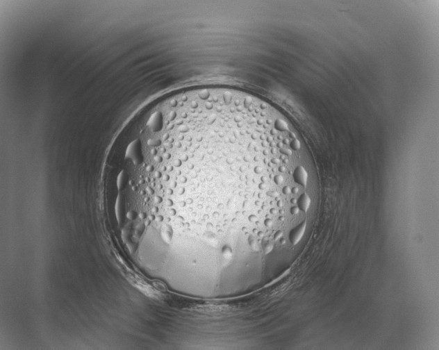 X0000072511236200607290124