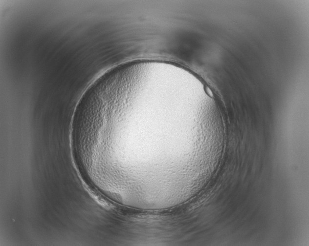 X0000072511237200607290124