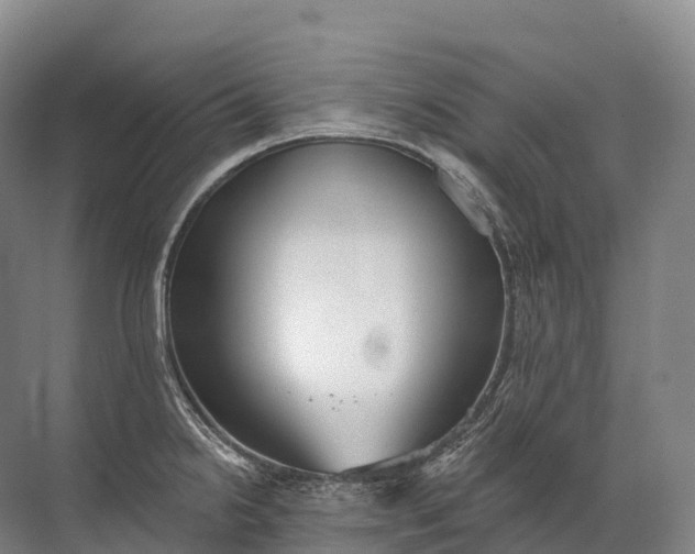 X0000072511238200607290124