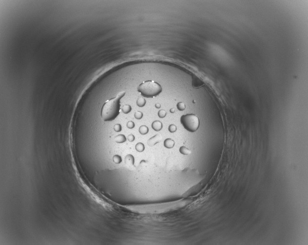 X0000072511239200607290124