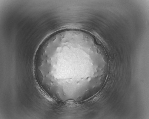 X0000072511240200607290124