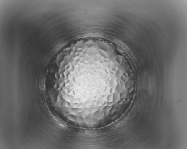 X0000072511241200607290124