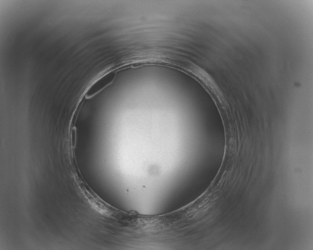 X0000072511242200607290124