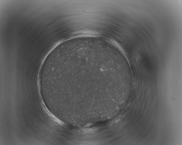 X0000072511243200607290124