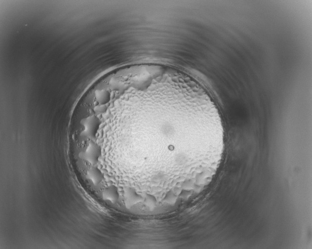 X0000072511244200607290124