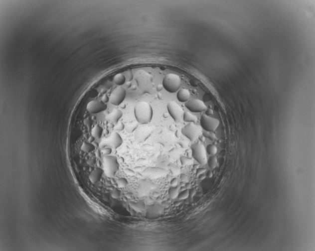 X0000072511245200607290124