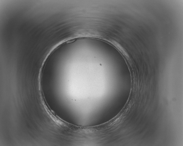 X0000072511246200607290124