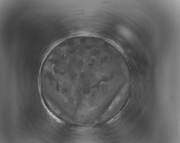 X0000072511247200607290124