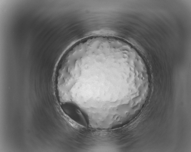 X0000072511248200607290124