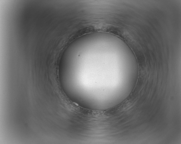 X0000072511249200607290123