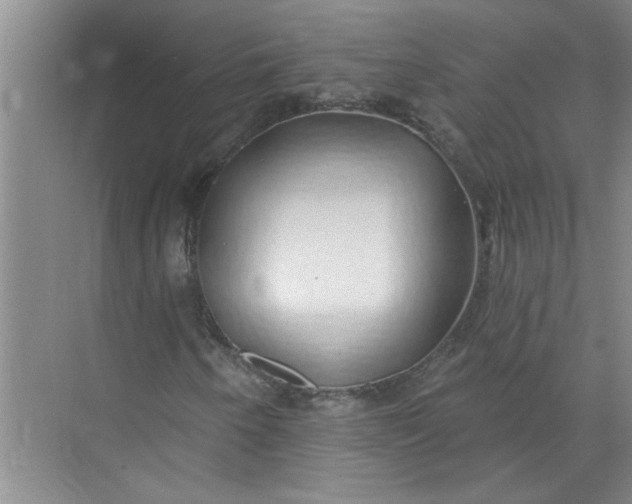 X0000072511250200607290123