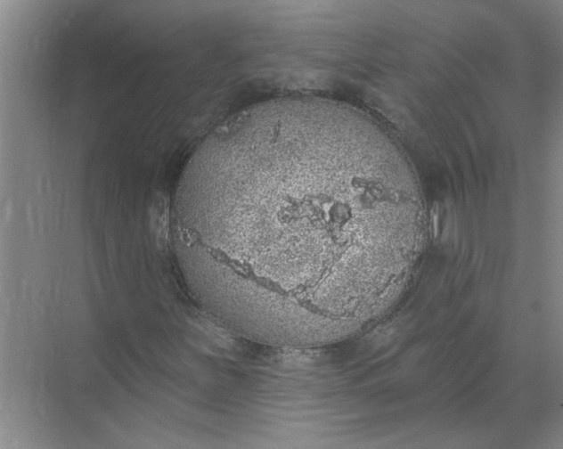 X0000072511251200607290123