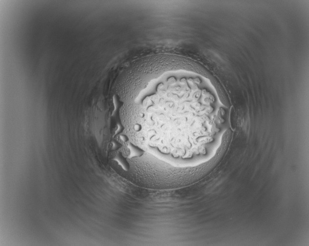 X0000072511252200607290123