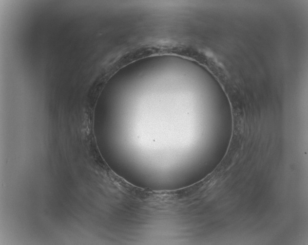 X0000072511253200607290123