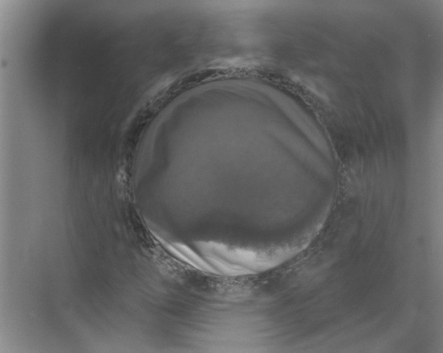 X0000072511254200607290123