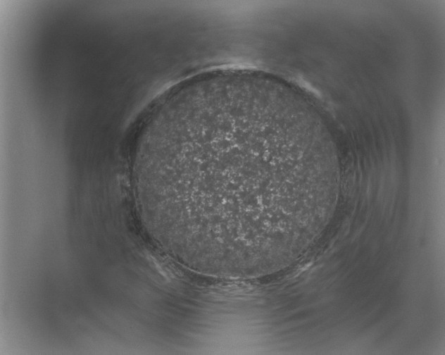 X0000072511255200607290123