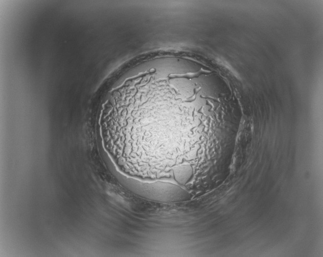 X0000072511256200607290123