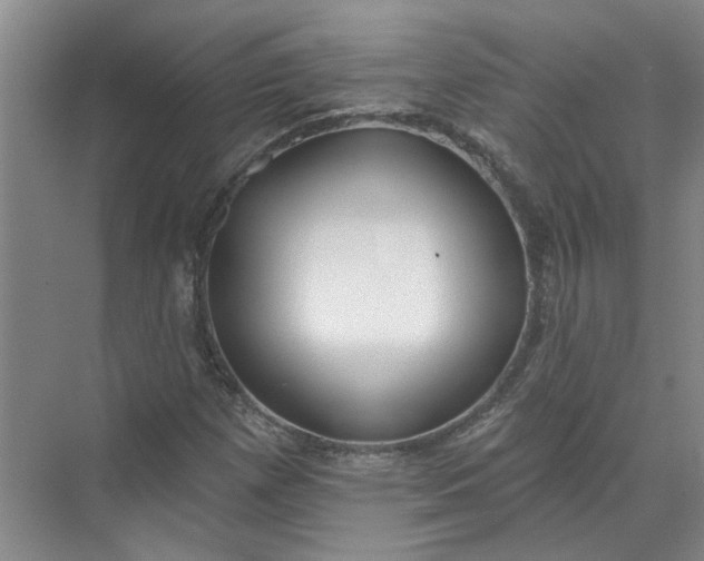 X0000072511257200607290123