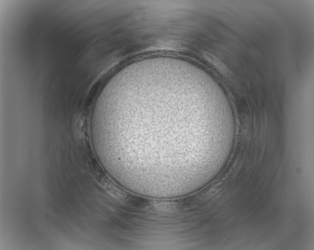 X0000072511258200607290123