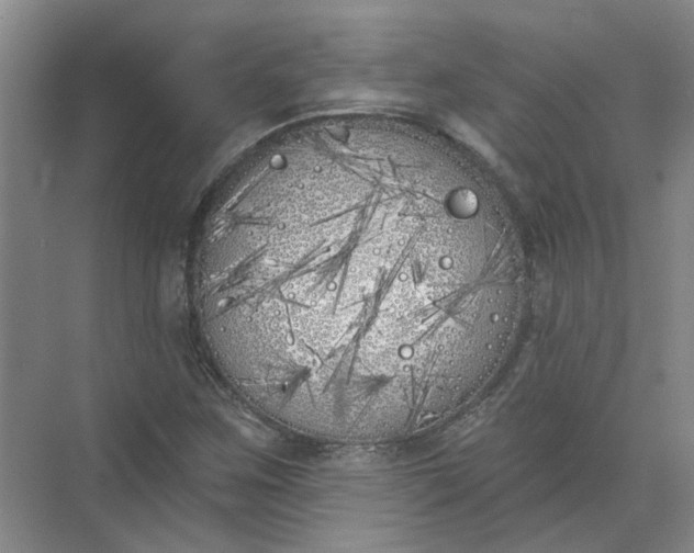 X0000072511259200607290123