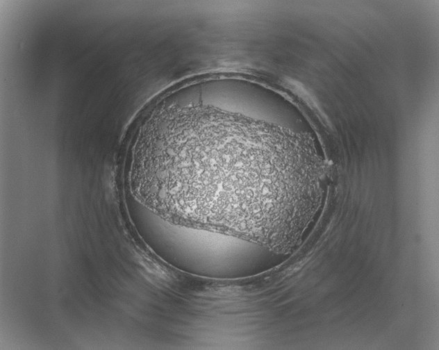 X0000072511260200607290123