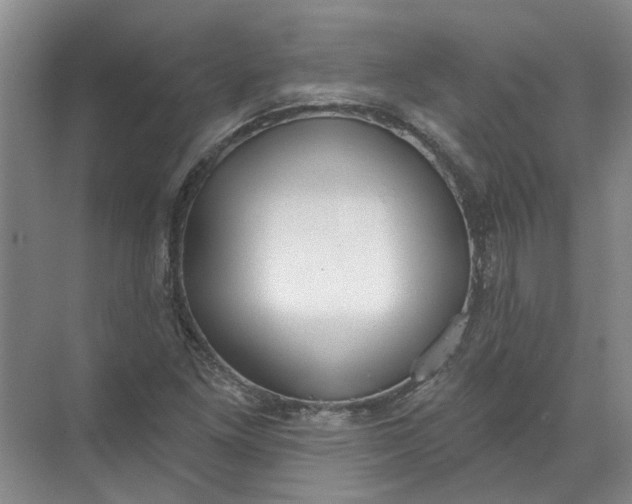 X0000072511261200607290123