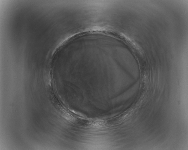 X0000072511262200607290123