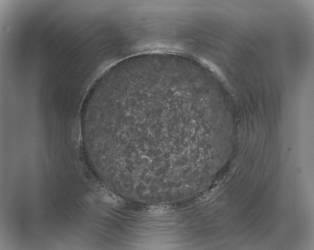 X0000072511267200607290123