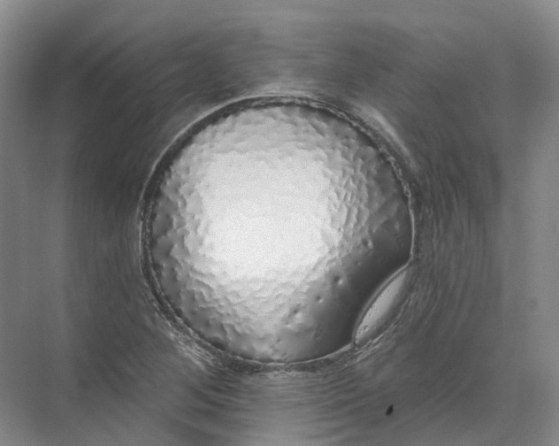 X0000072511268200607290123