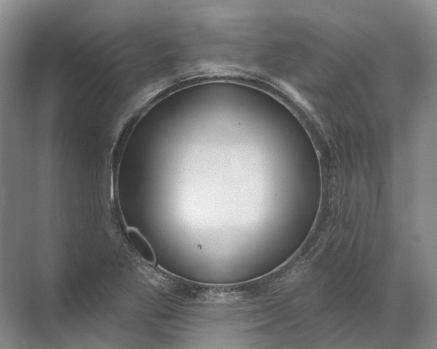 X0000072511269200607290123