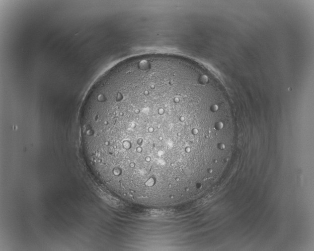 X0000072511271200607290123